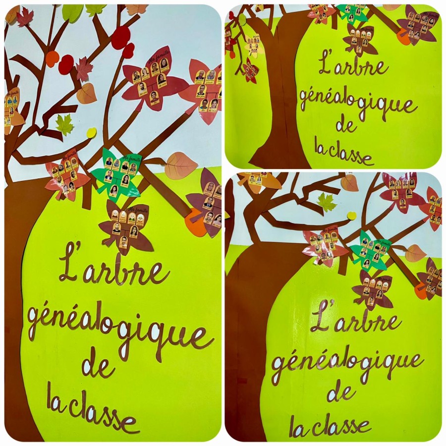 Photo de l'album