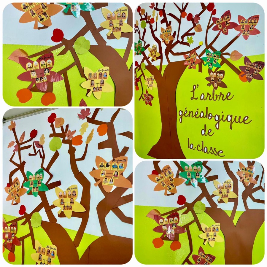 Photo de l'album