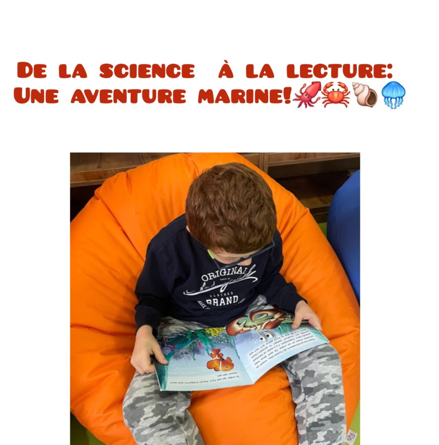 Photo de l'album