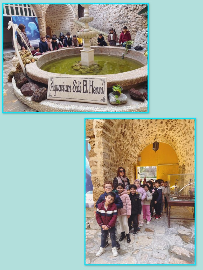 Photo de l'album
