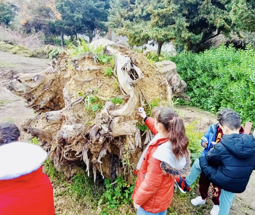 Photo de l'album