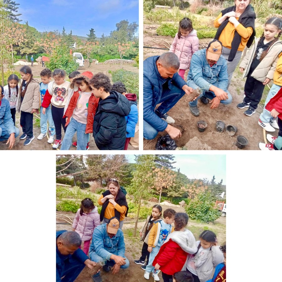Photo de l'album