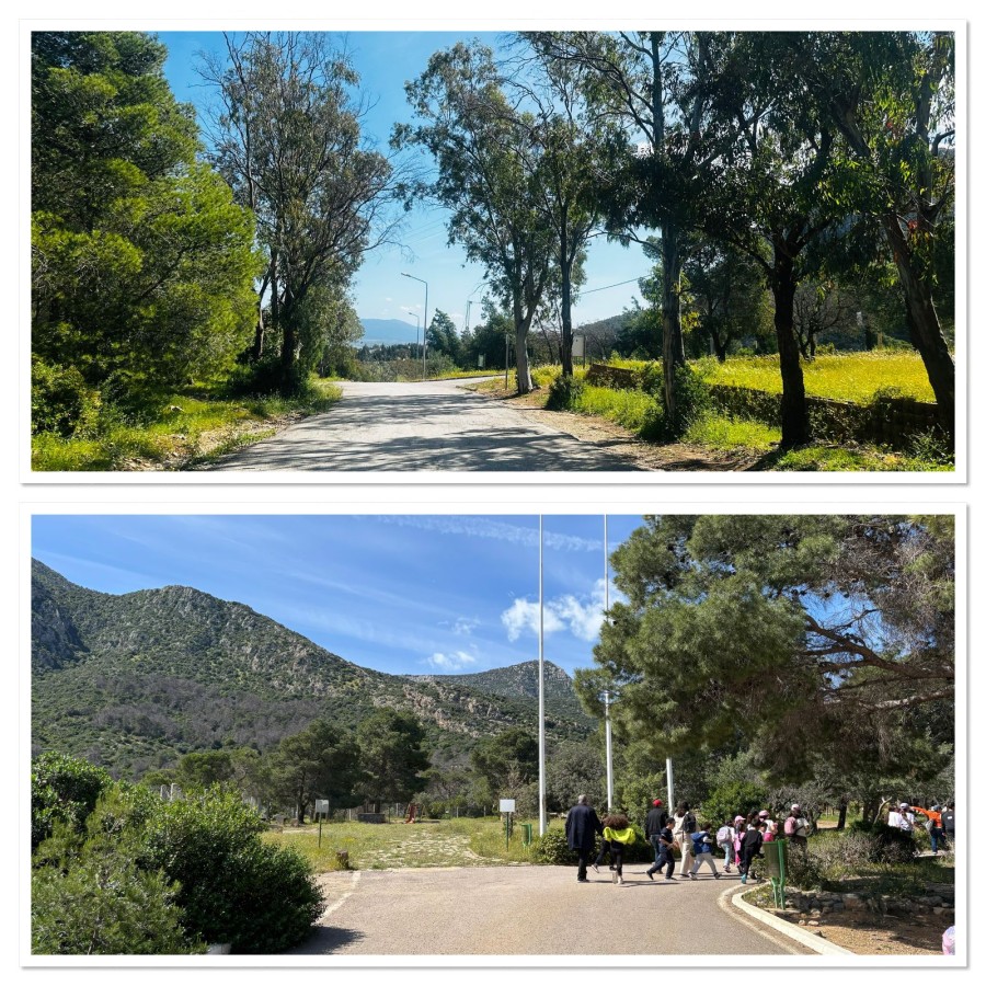 Photo de l'album