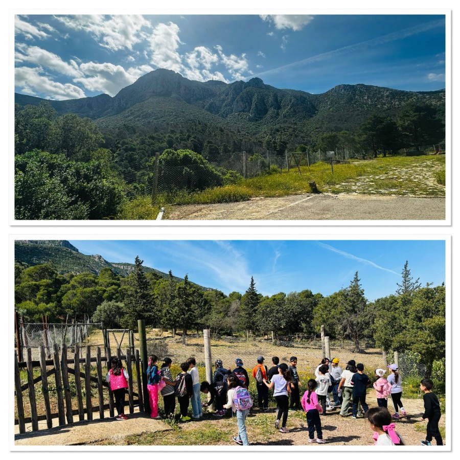 Photo de l'album