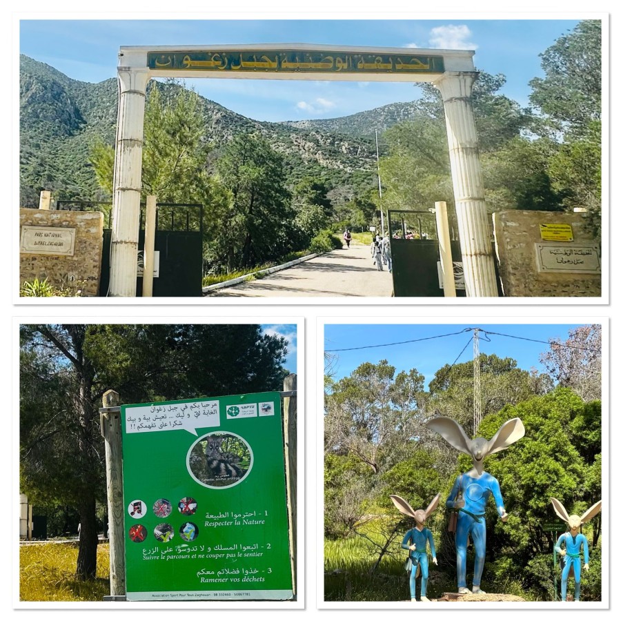 Photo de l'album