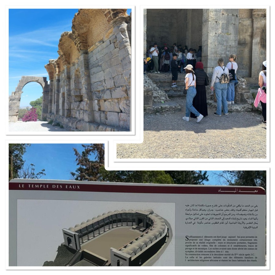 Photo de l'album
