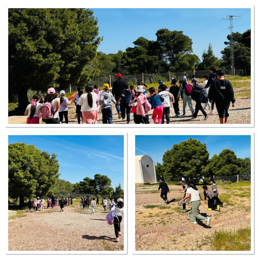 Photo de l'album